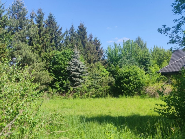 Wyględy działka budowlana.